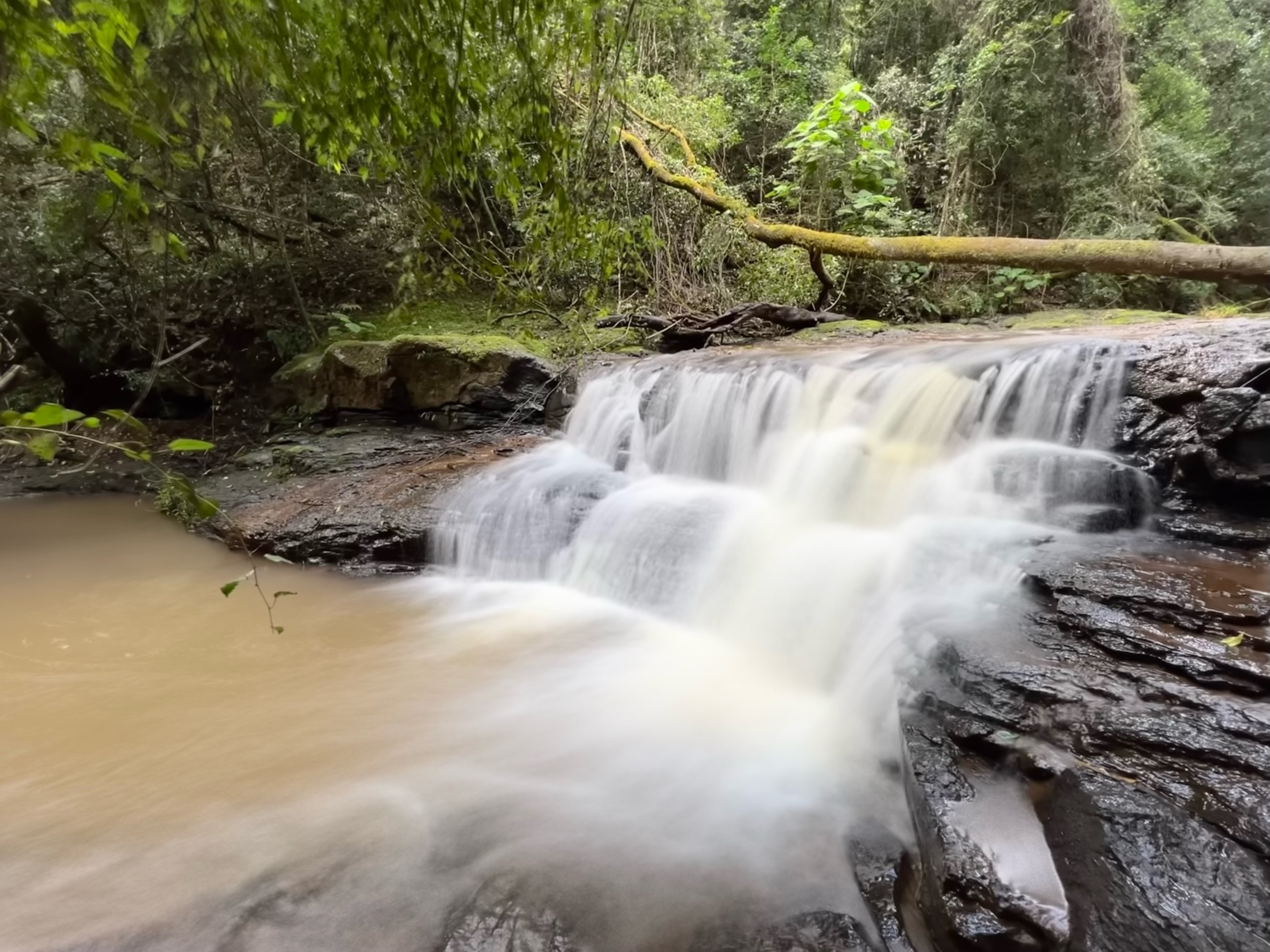 Browns Falls 31 July 2022