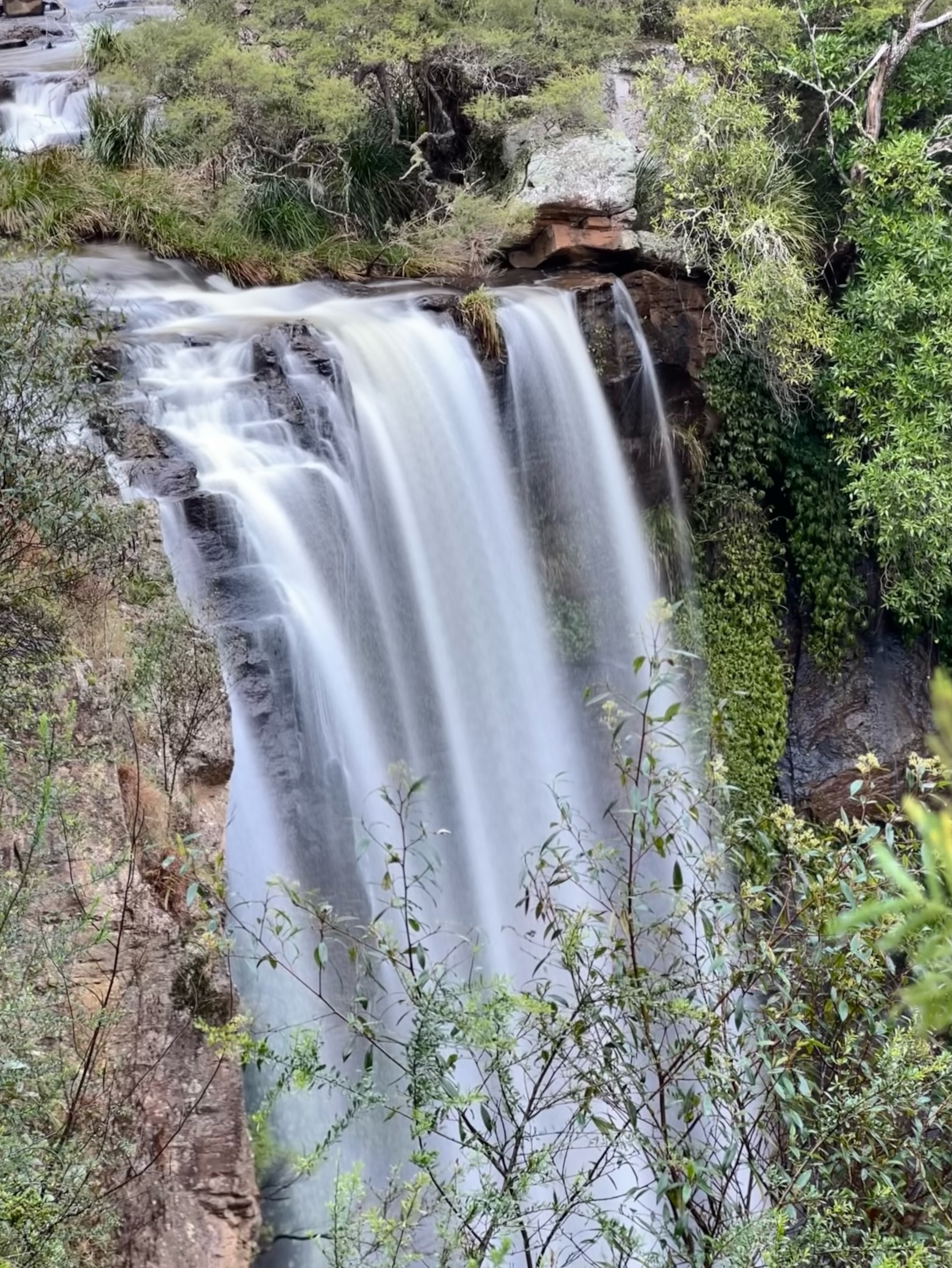 Queen Mary Falls 31 July 2022