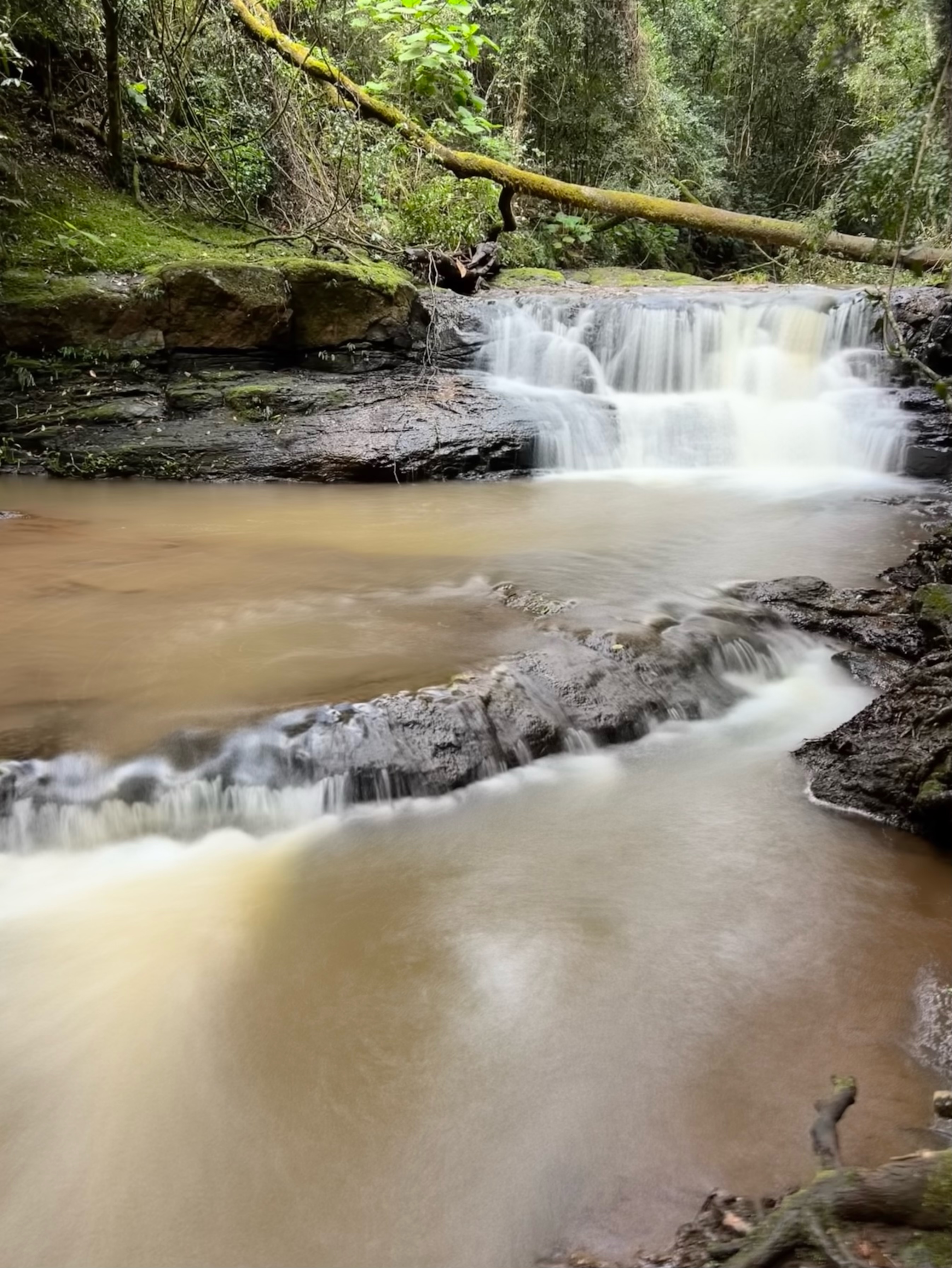 Browns Falls 31 July 2022