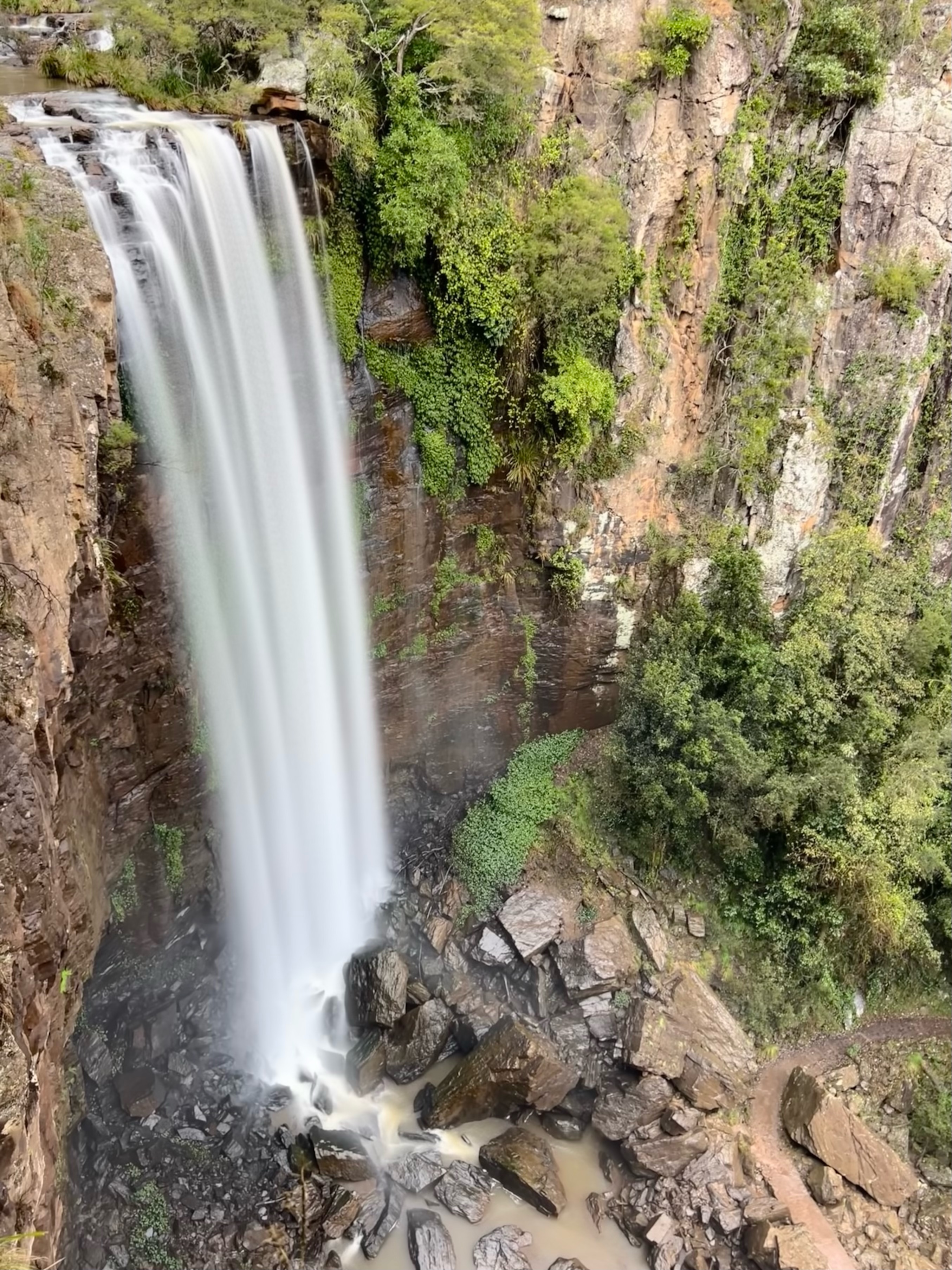 Queen Mary Falls 31st July 2022