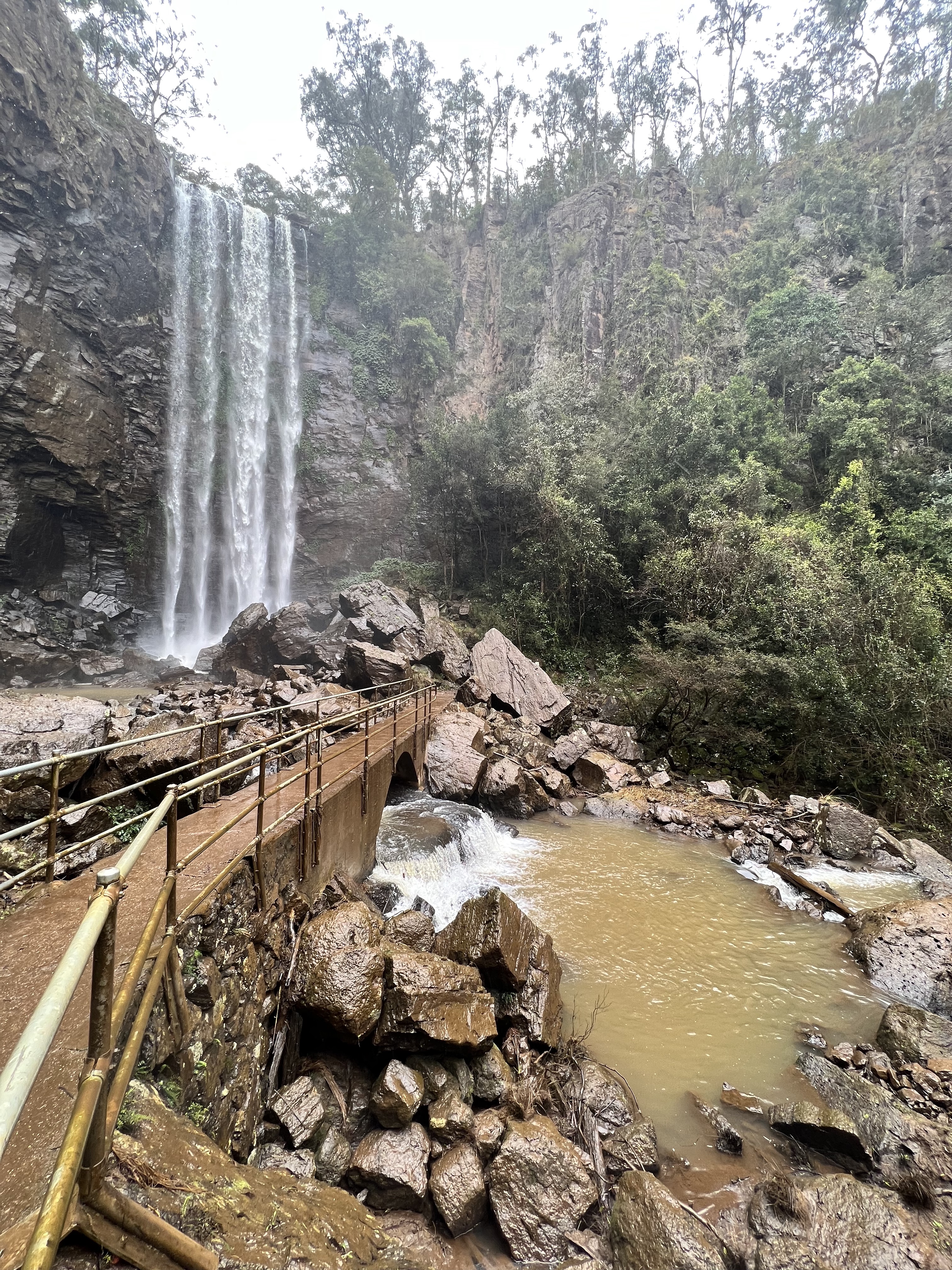 Queen Mary Falls 31 July 2022