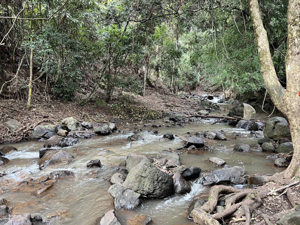 River crossing that is hard to cross. Browns Falls 31 July 2022