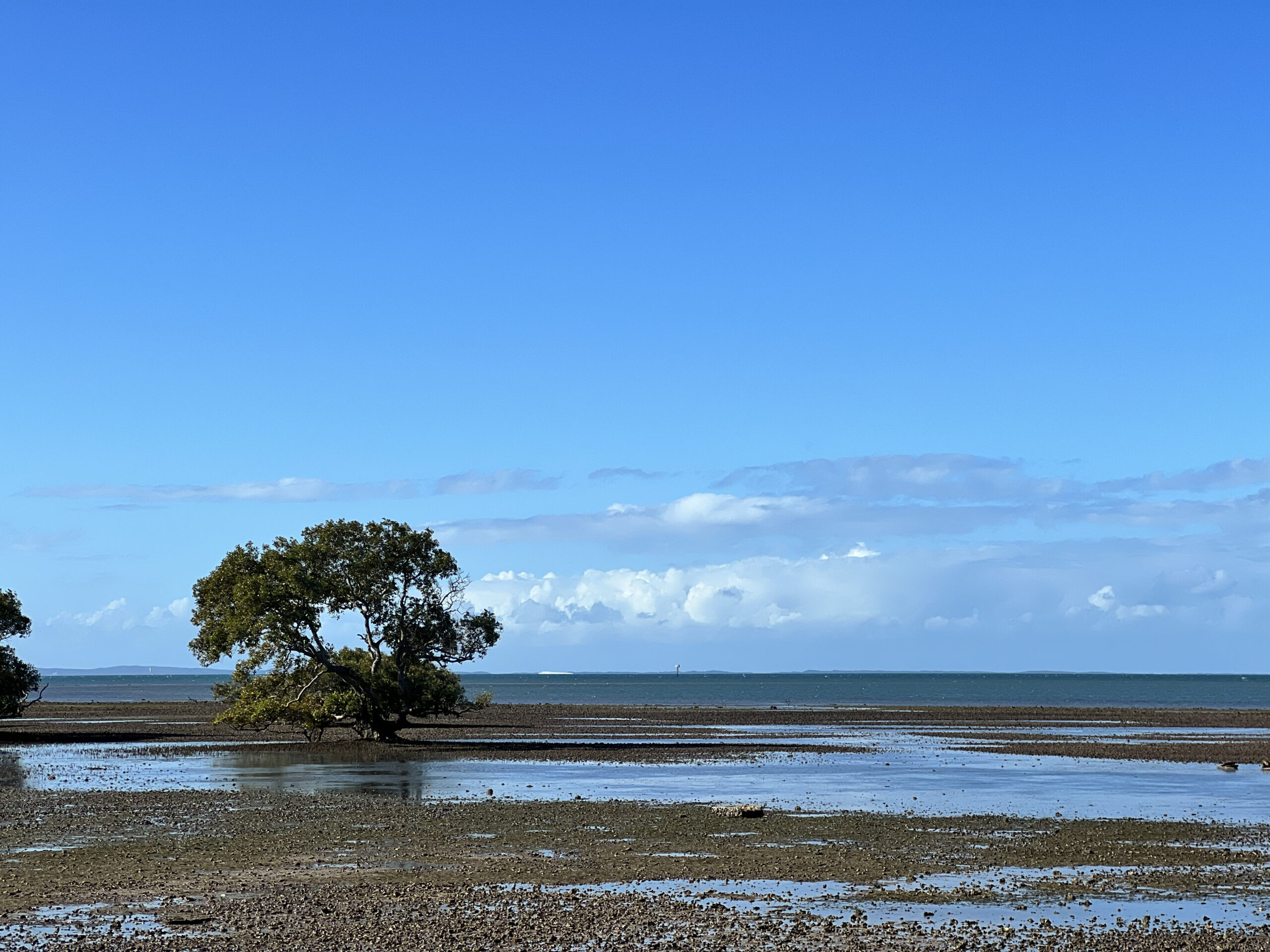 King Island