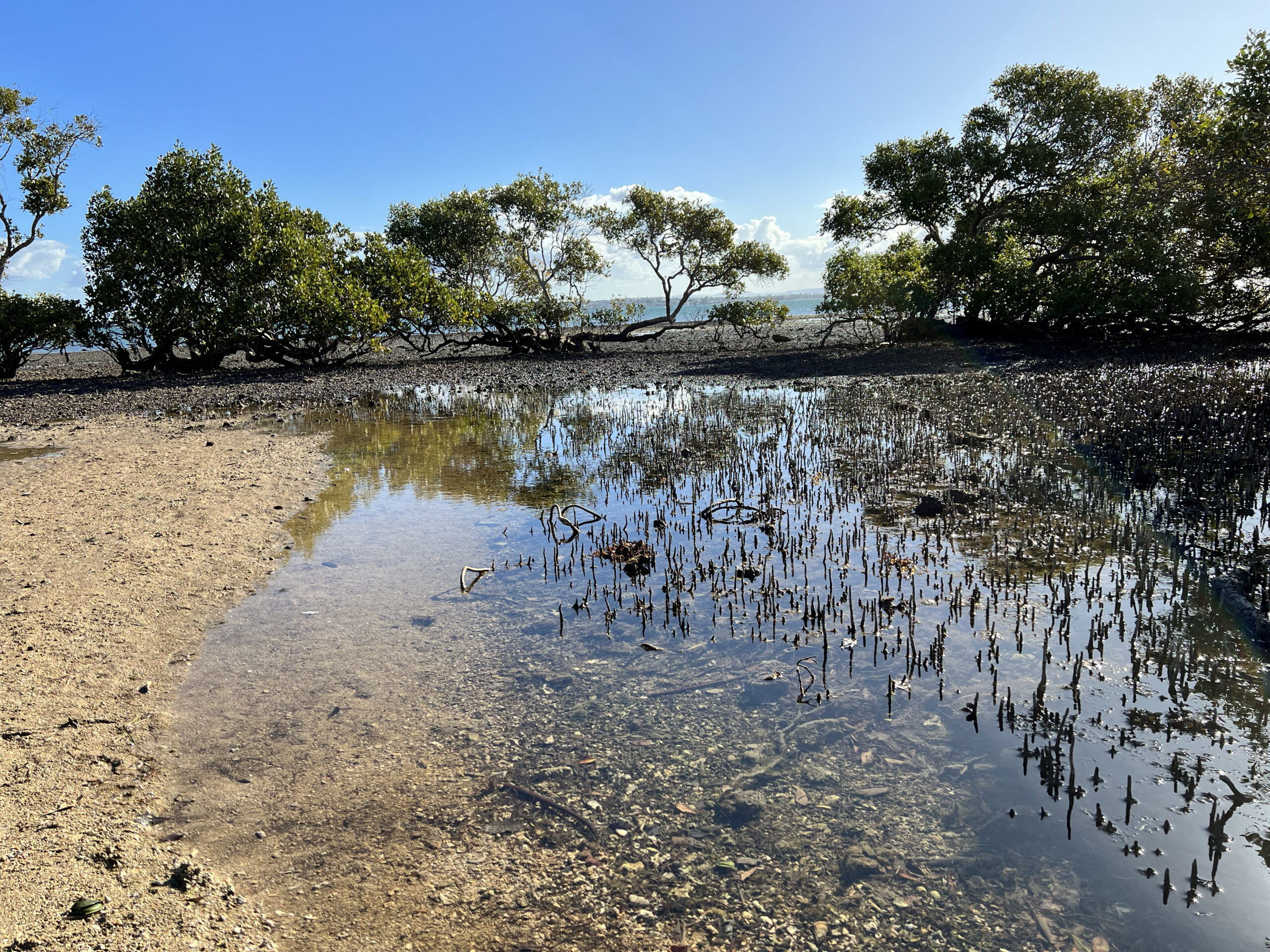 King Island