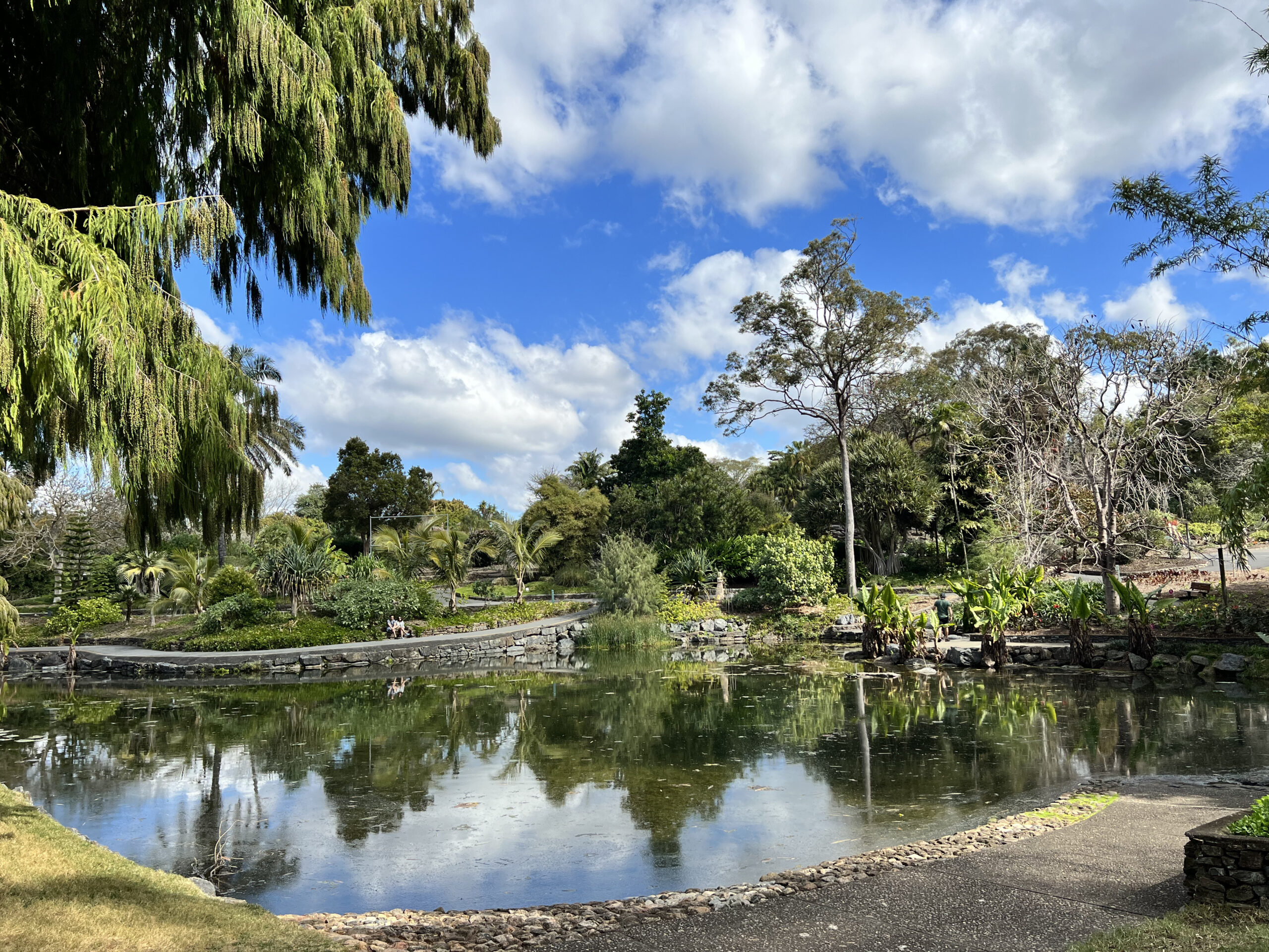 Brisbane Botanic Gardens at Mount Coot-Tha