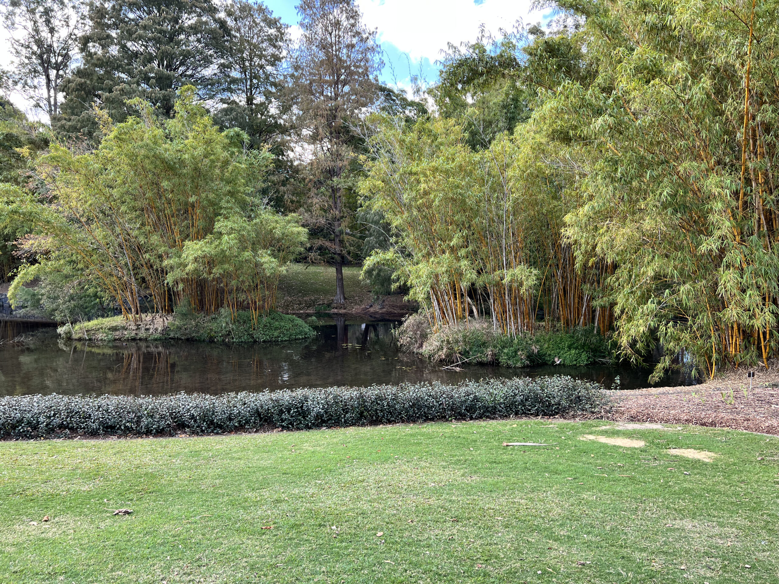 Brisbane Botanic Gardens at Mount Coot-Tha