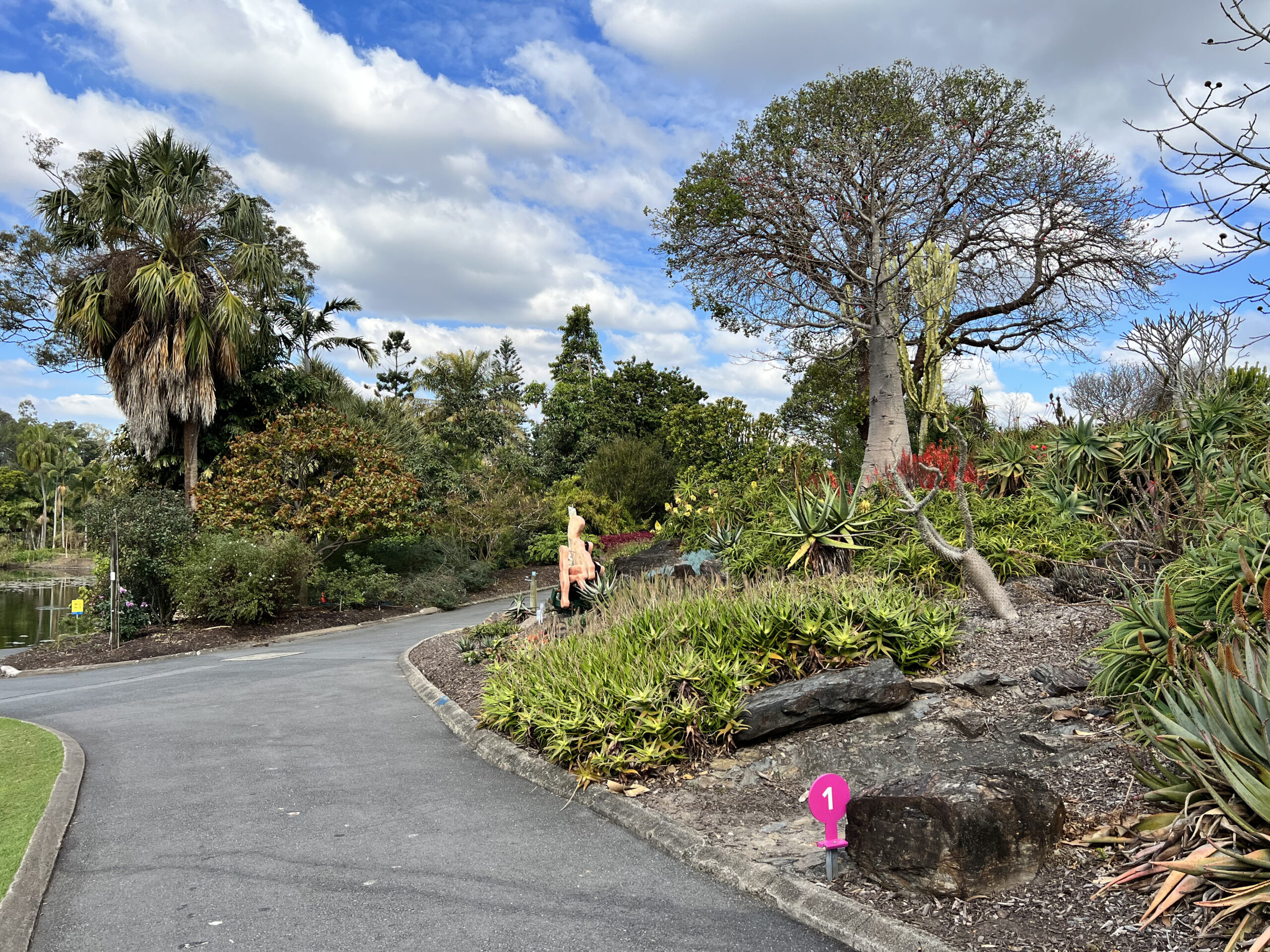 Brisbane Botanic Gardens at Mount Coot-Tha