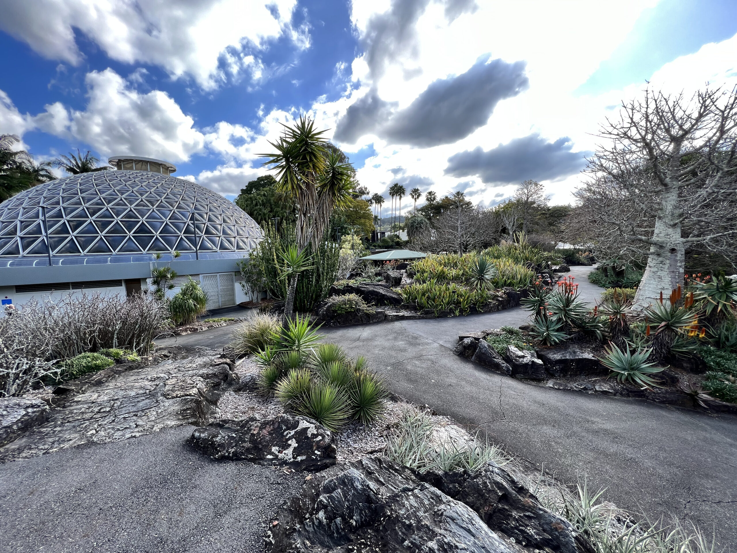 Brisbane Botanic Gardens at Mount Coot-Tha