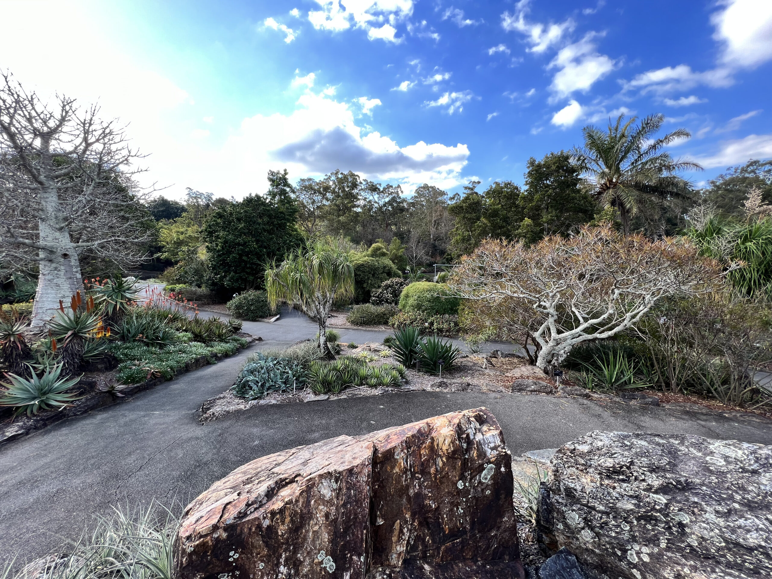 Brisbane Botanic Gardens at Mount Coot-Tha