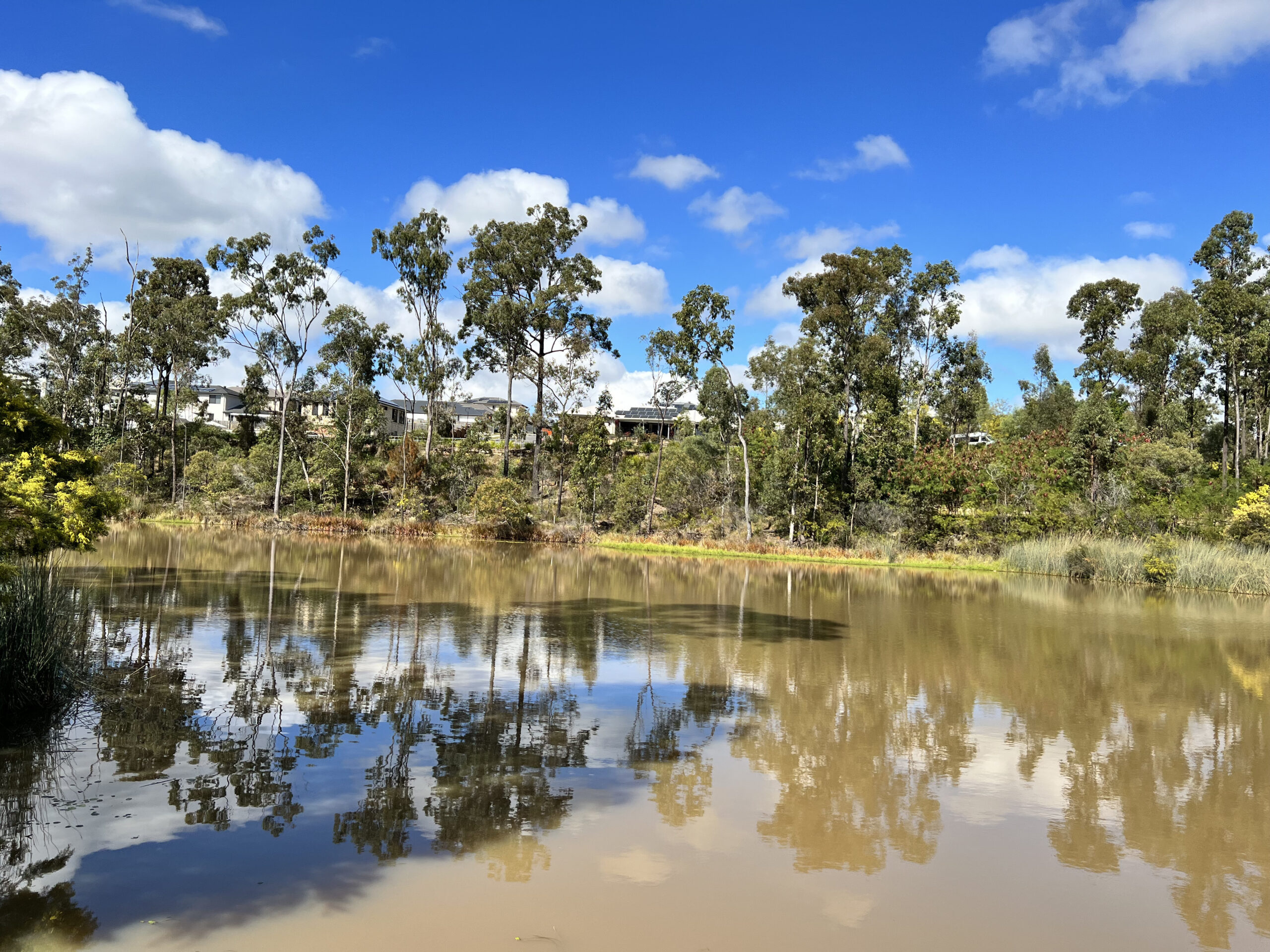 Springfield Lakes