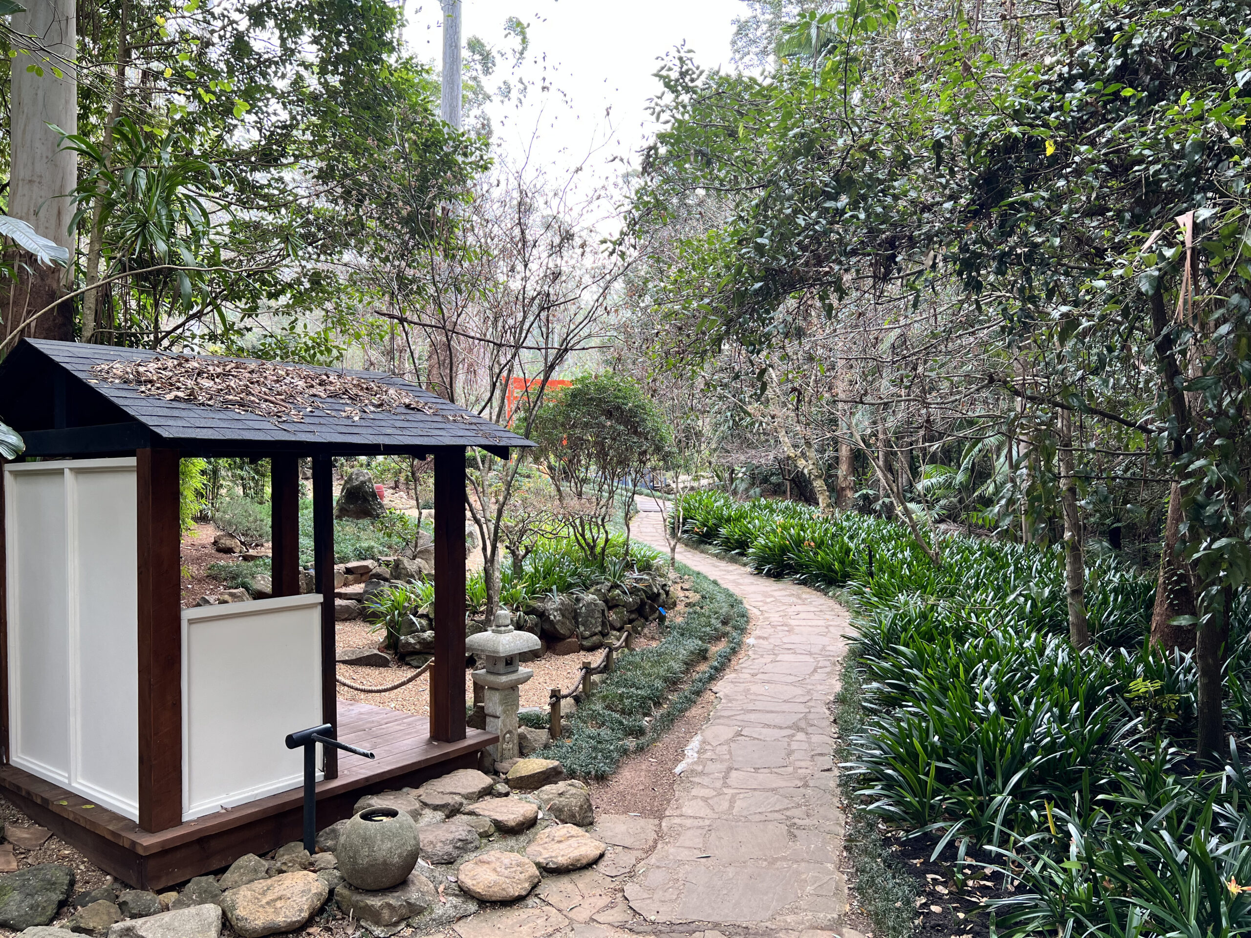 Tamborine Mountain Botanic Gardens 