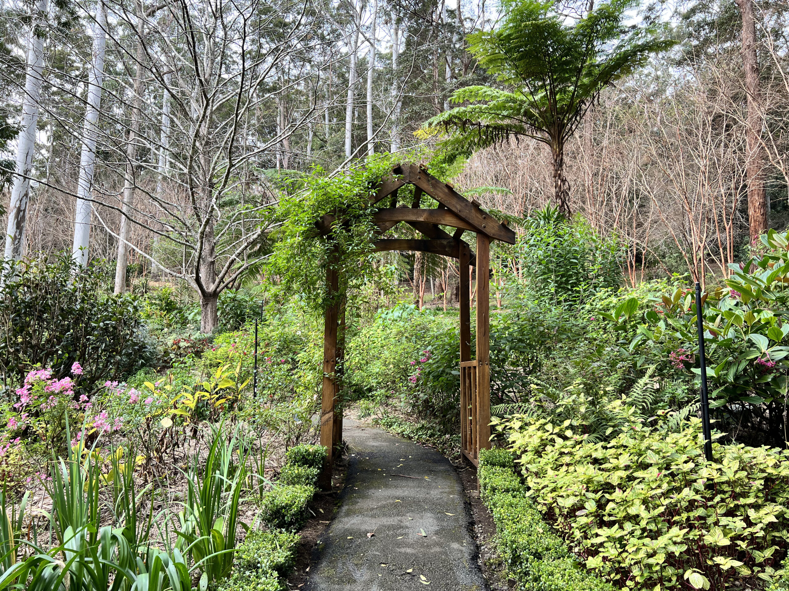 Tamborine Mountain Botanic Gardens 