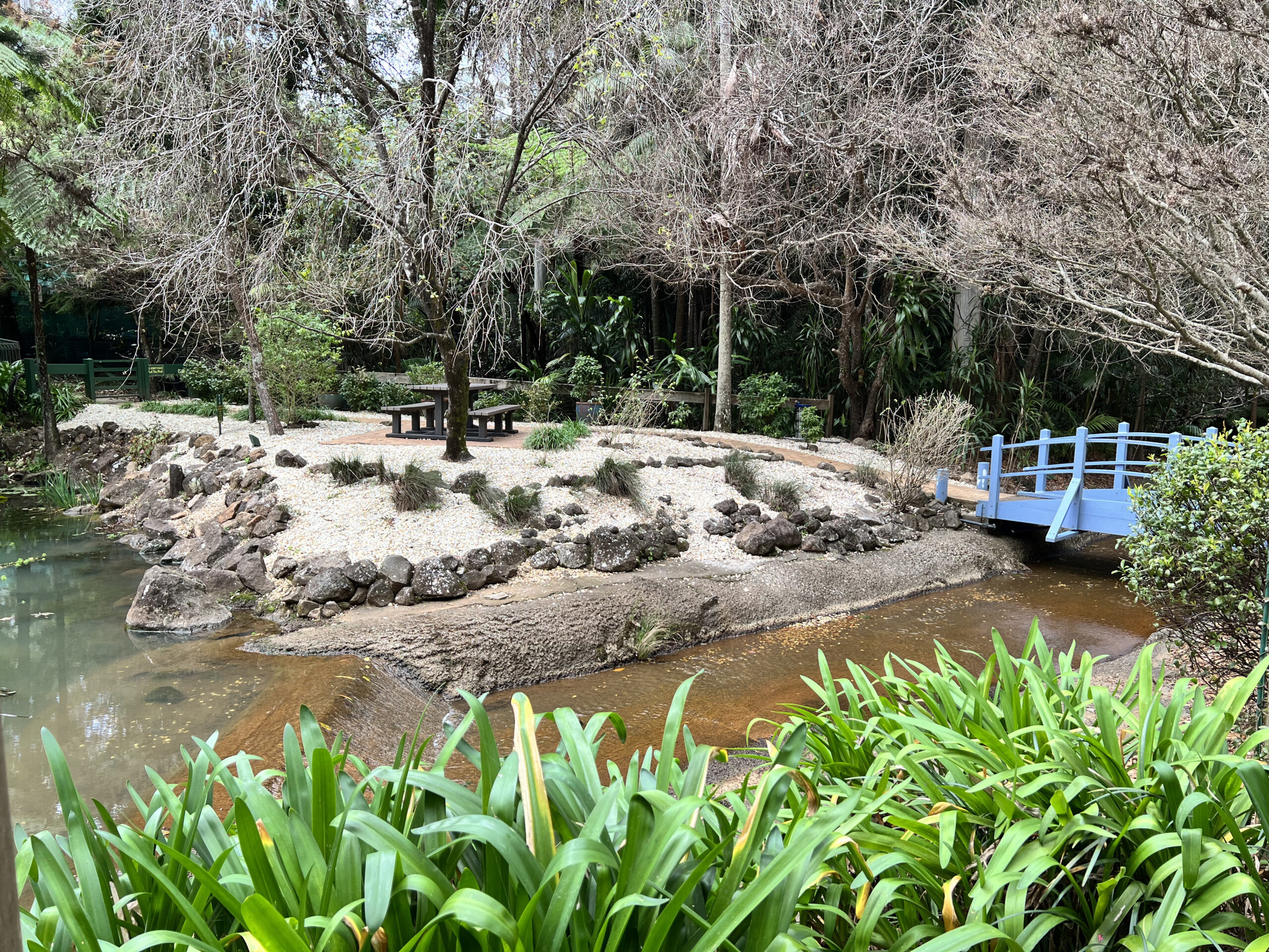 Tamborine Mountain Botanic Gardens 