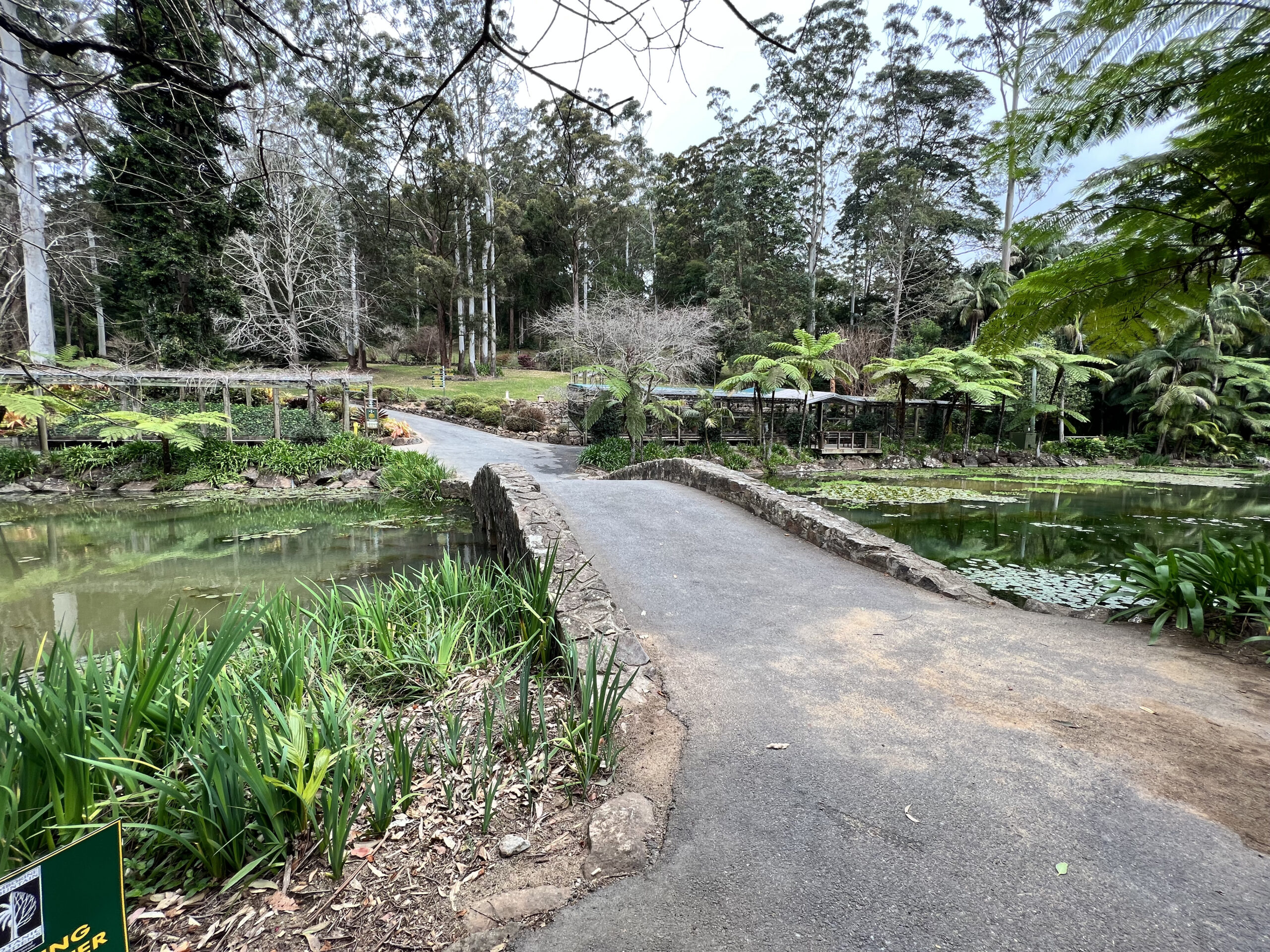 Tamborine Mountain Botanic Gardens 