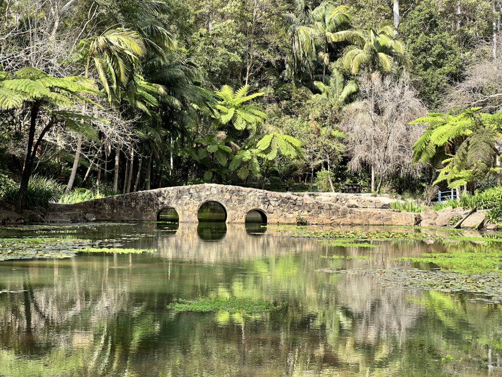 Tamborine Mountain Botanic Gardens 