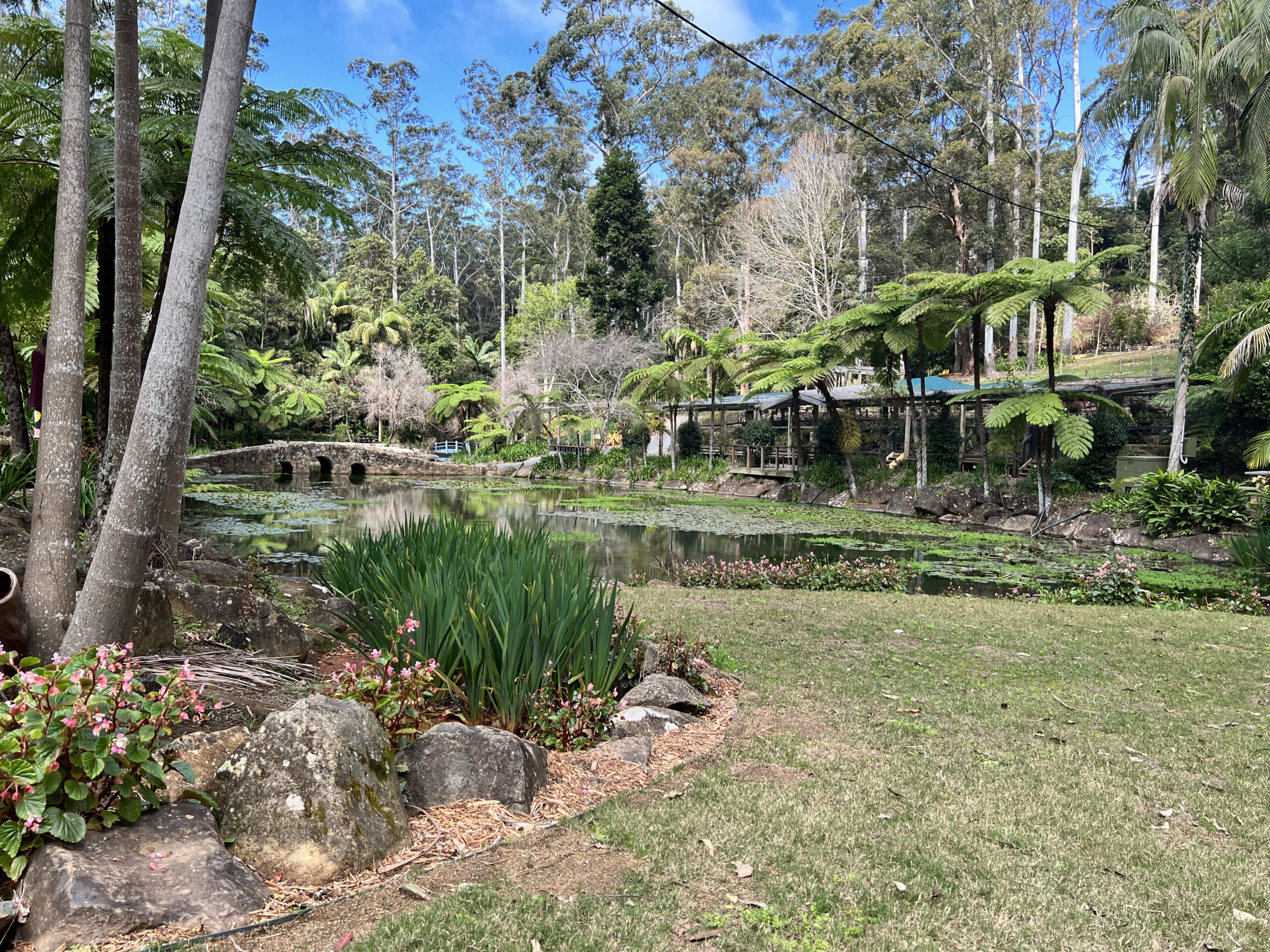 Tamborine Mountain Botanic Gardens 