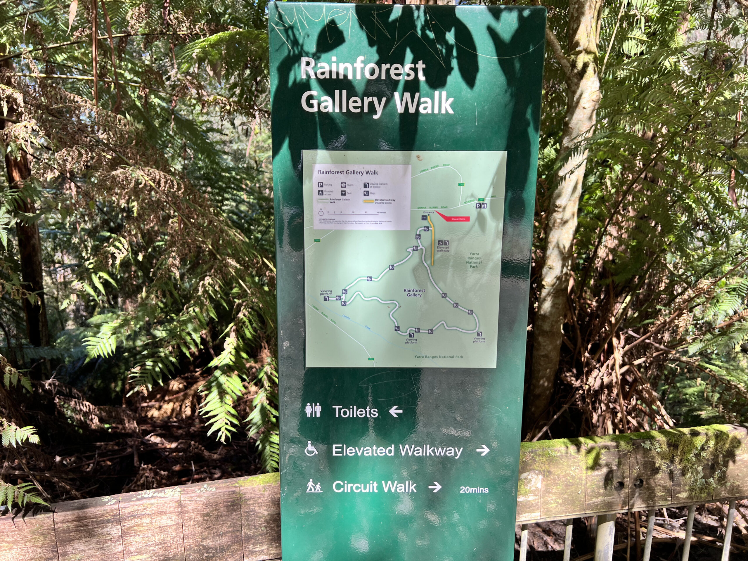 Rainforest Gallery Walk,  Mt Donna Buang