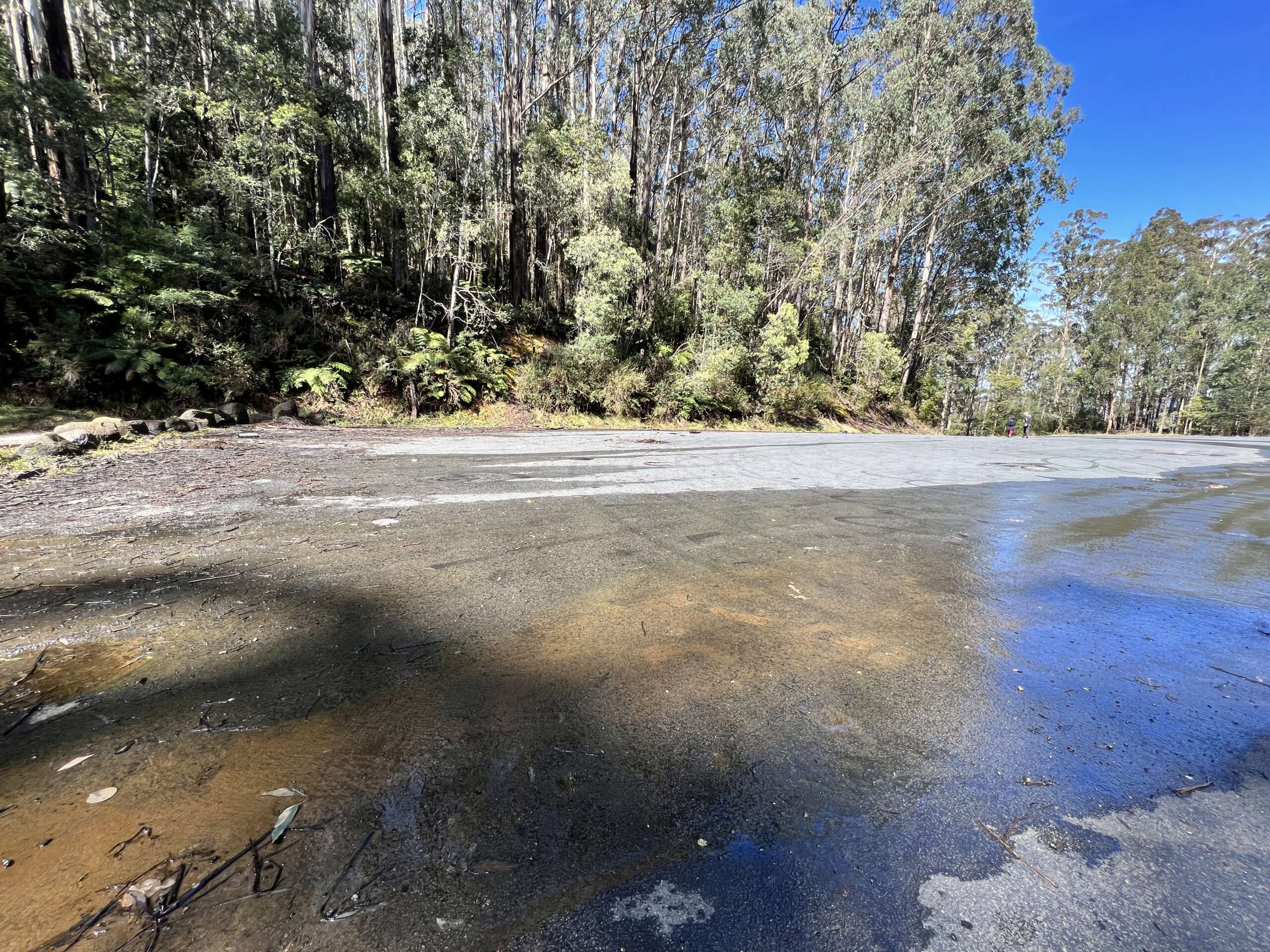 Mt Donna Buang