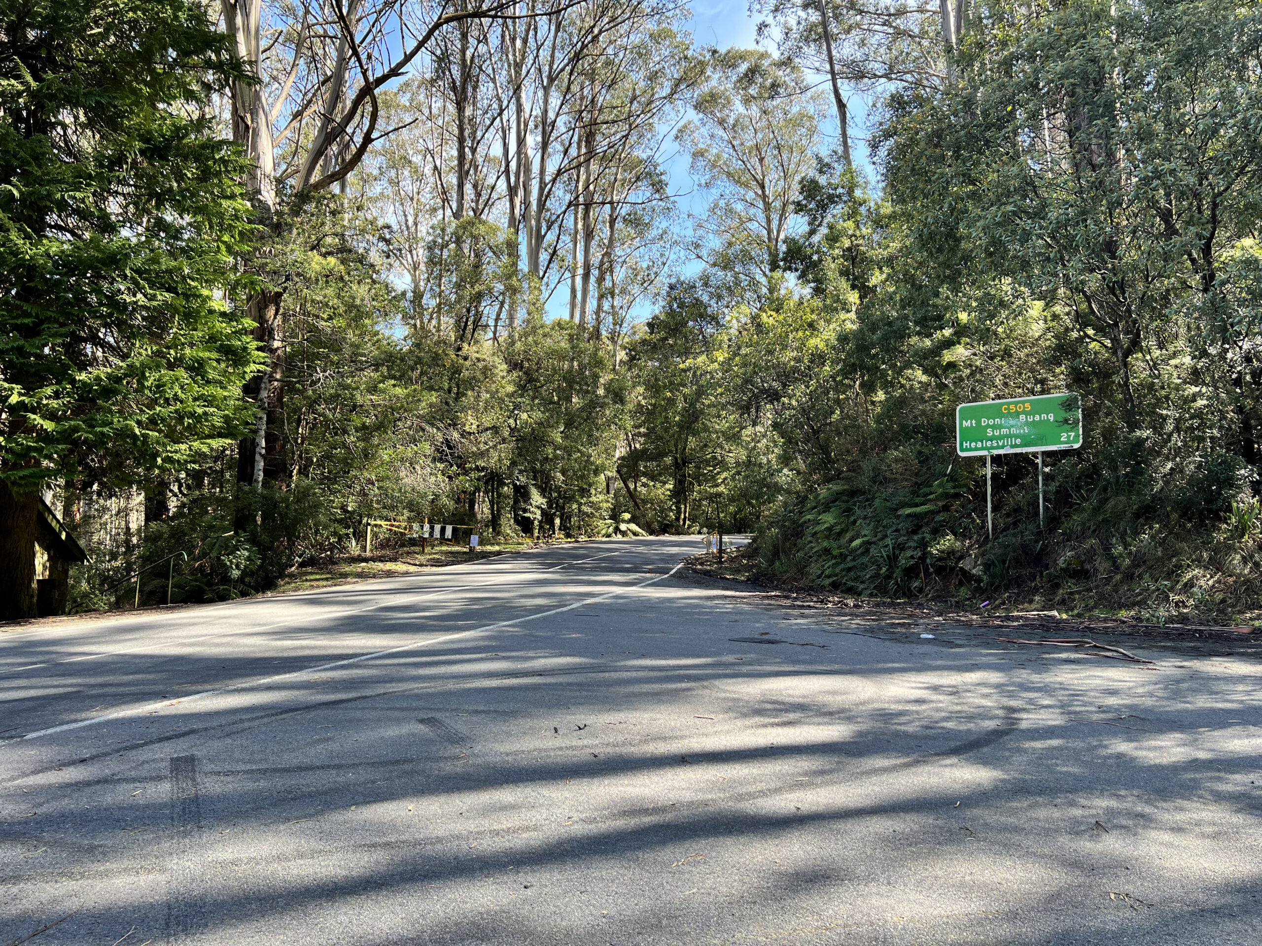 Mt Donna Buang