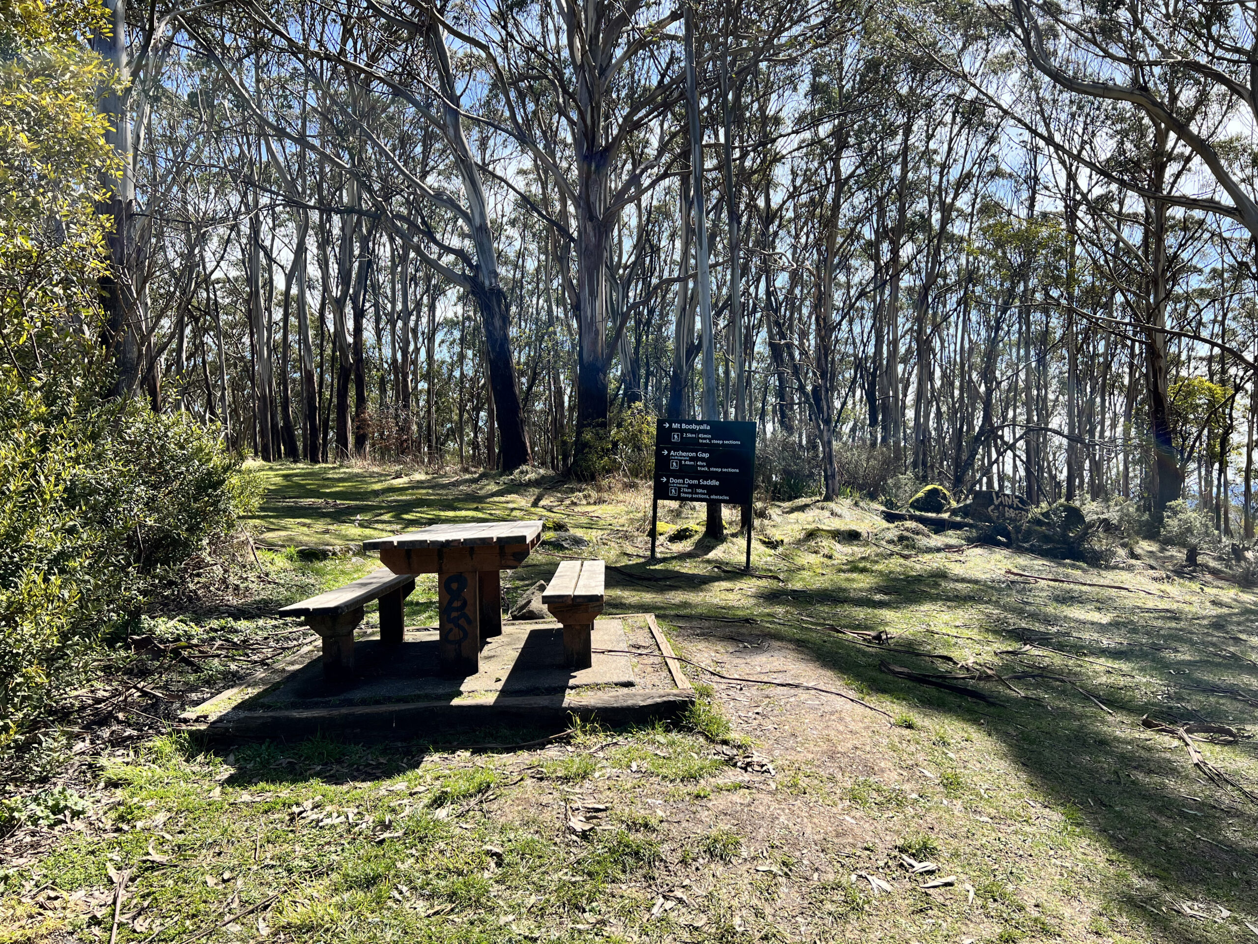 Mt Donna Buang