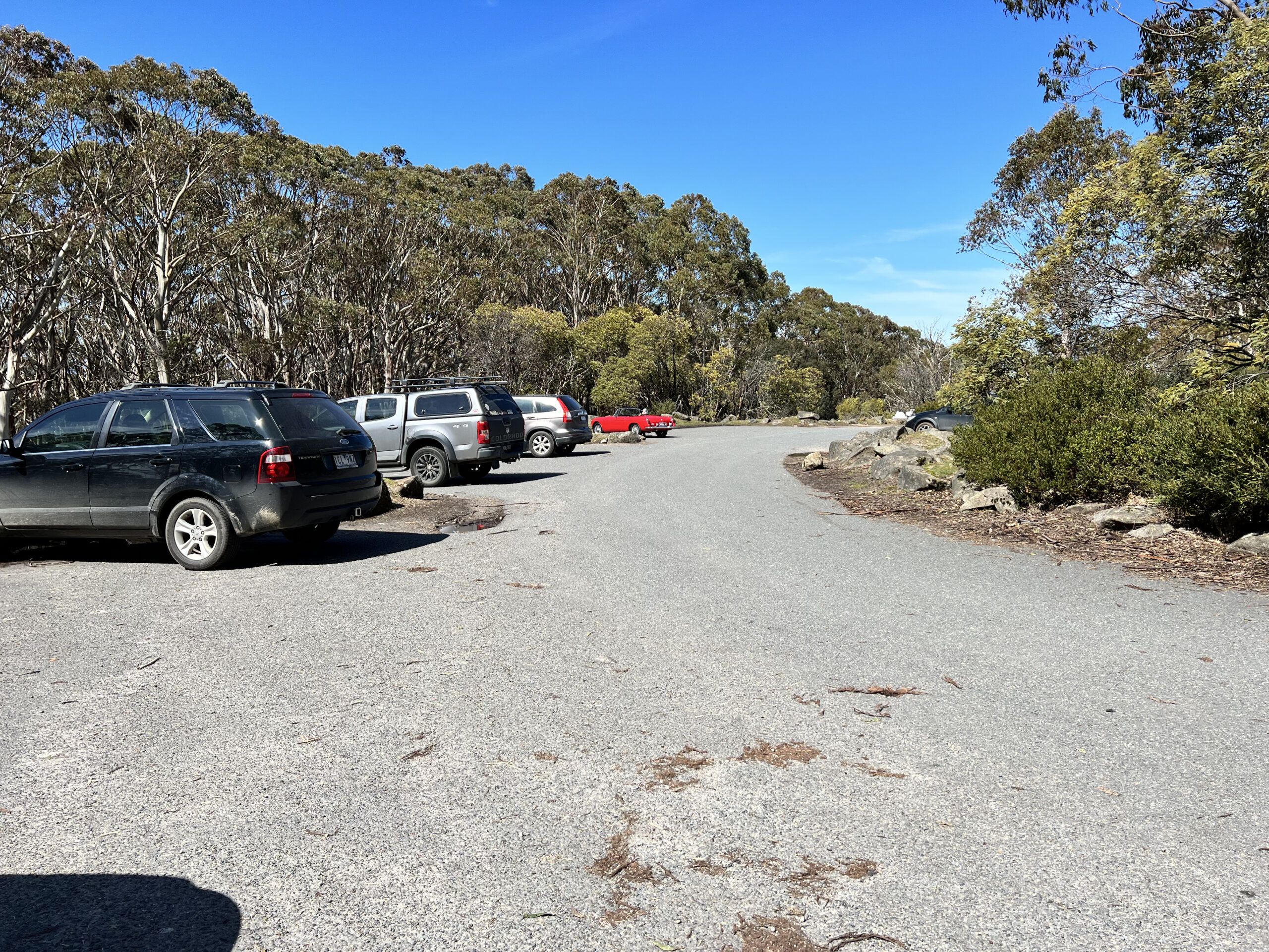 Mt Donna Buang