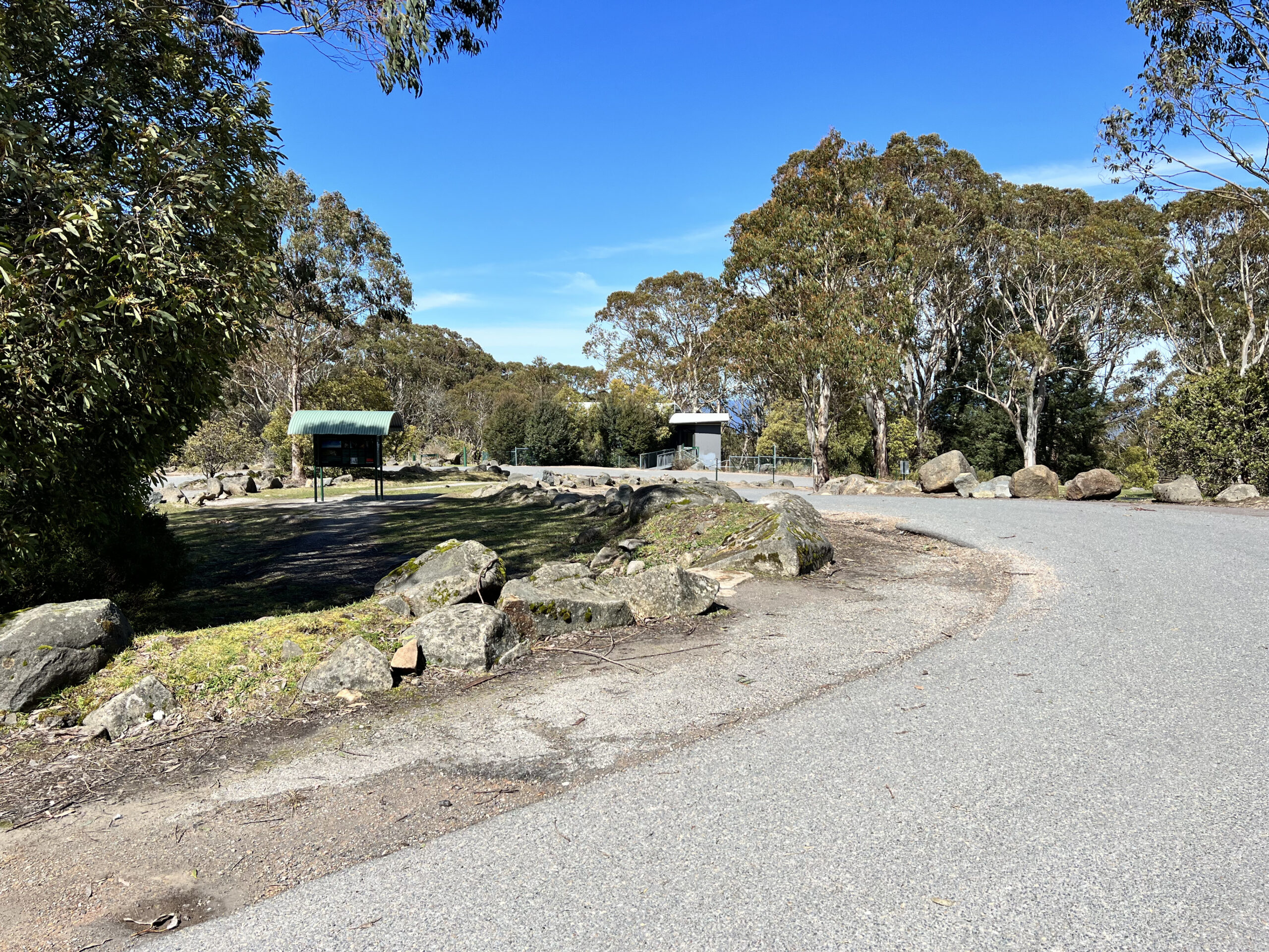 Mt Donna Buang