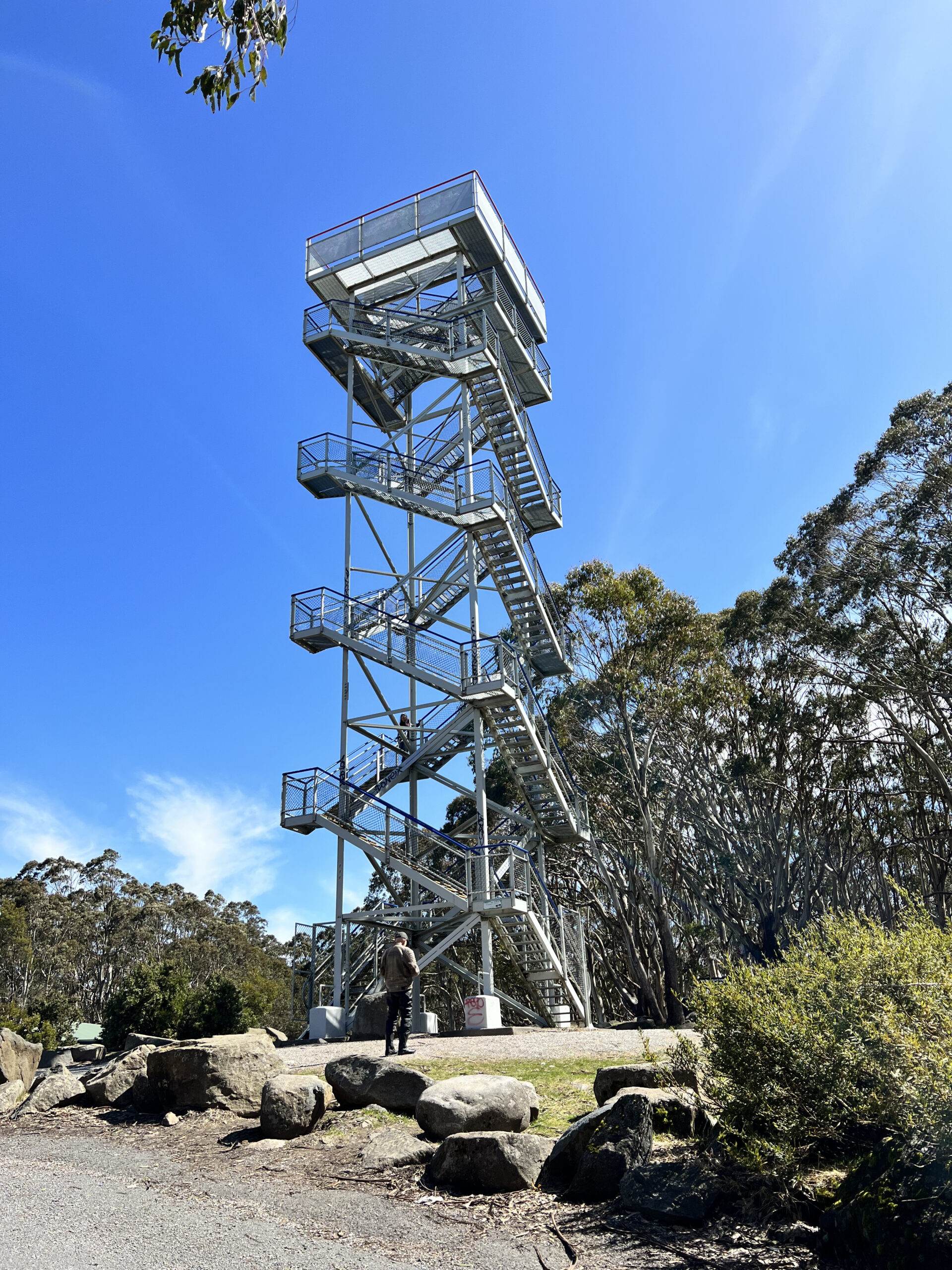 Mt Donna Buang