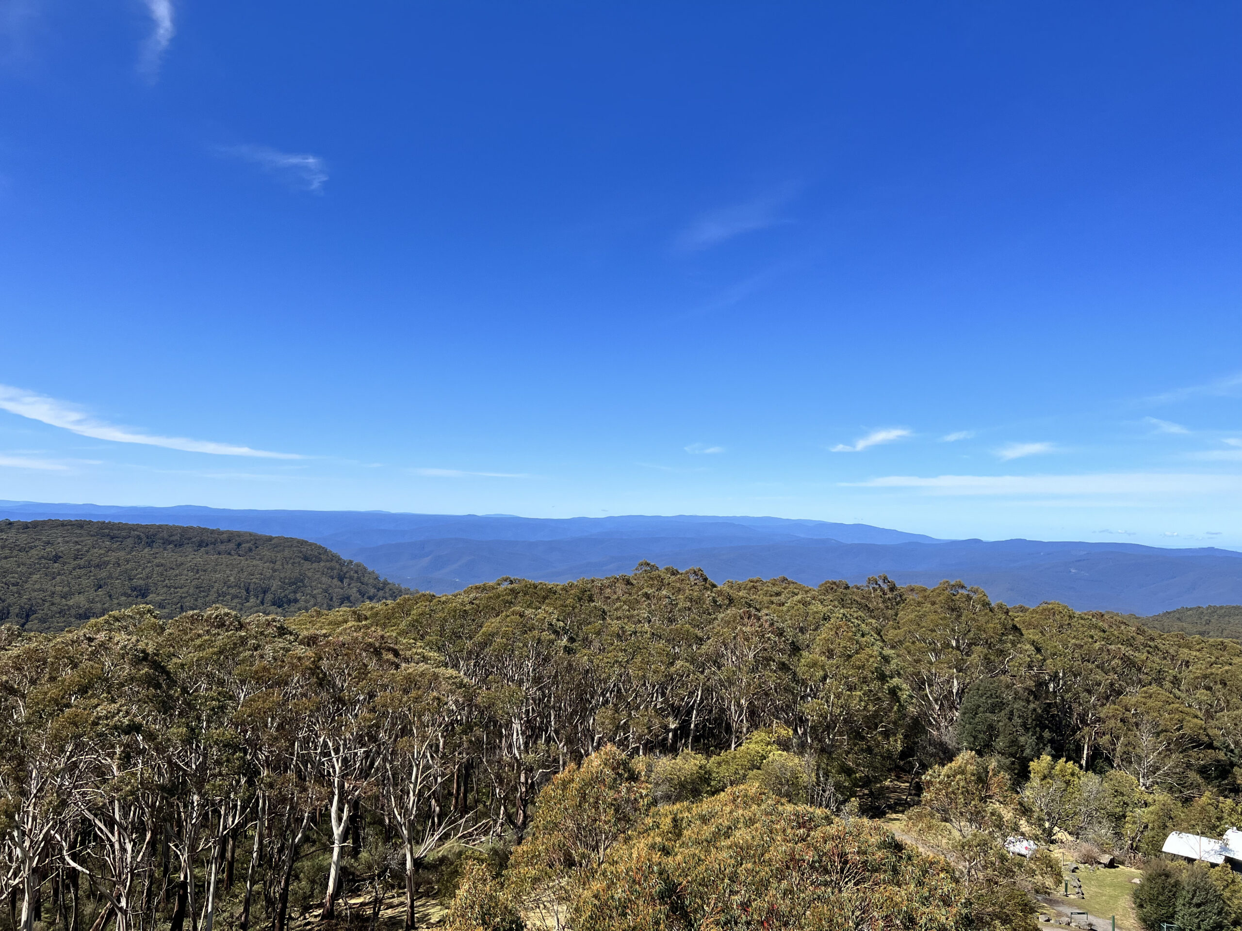 Mt Donna Buang