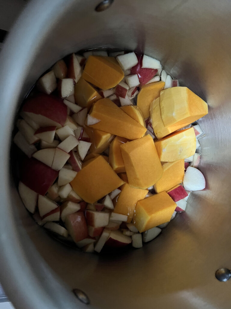 Apple and pumpkin in pot