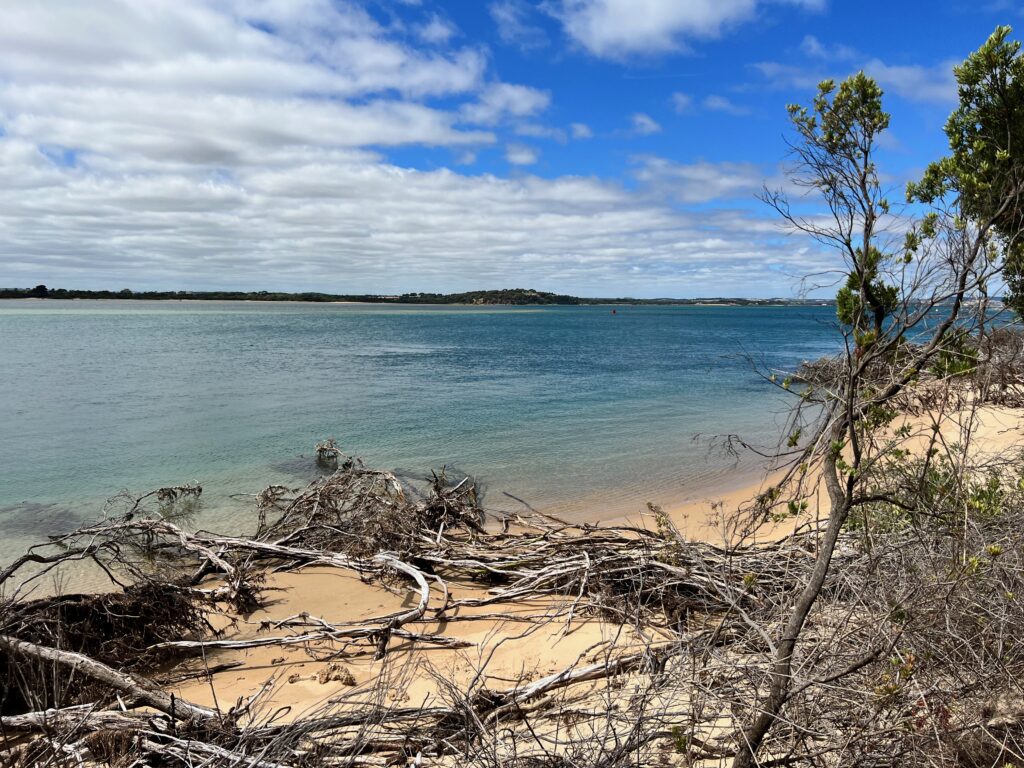 Point Smythe