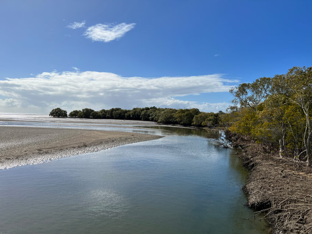 
Boondall Wetlands 