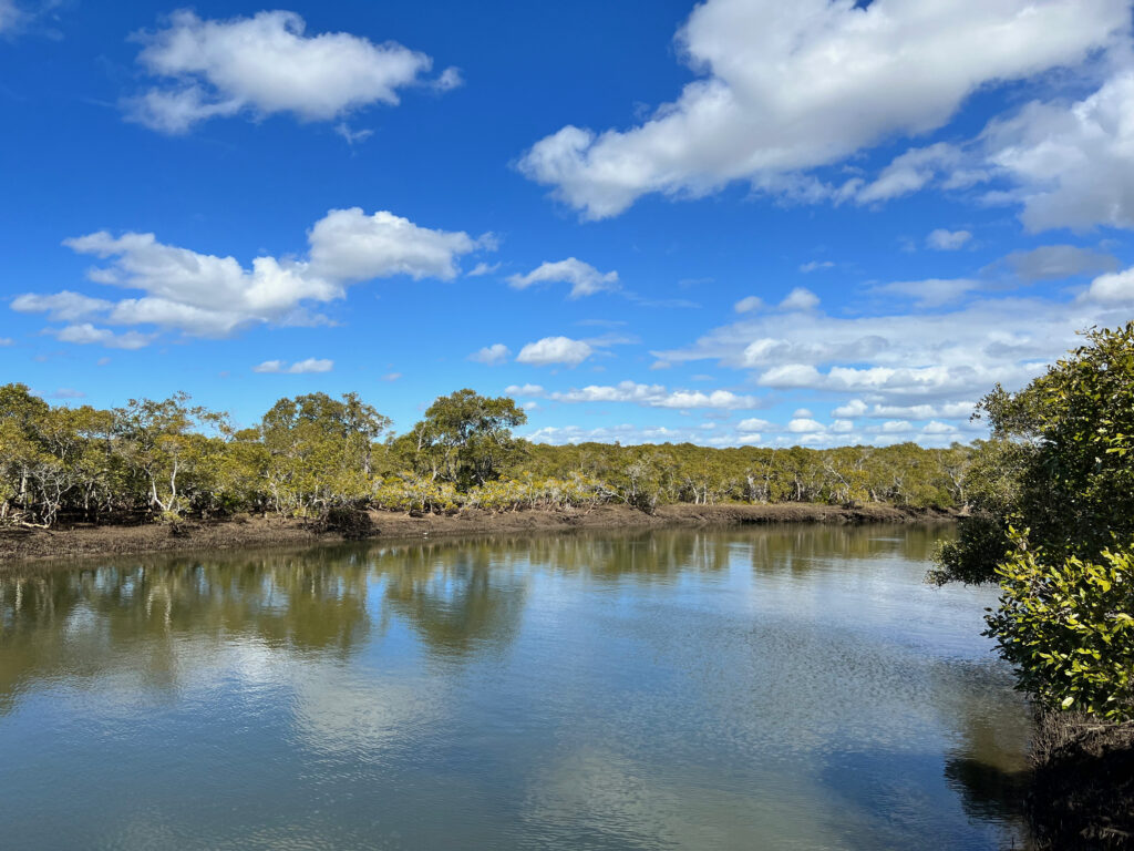 
Boondall Wetlands 