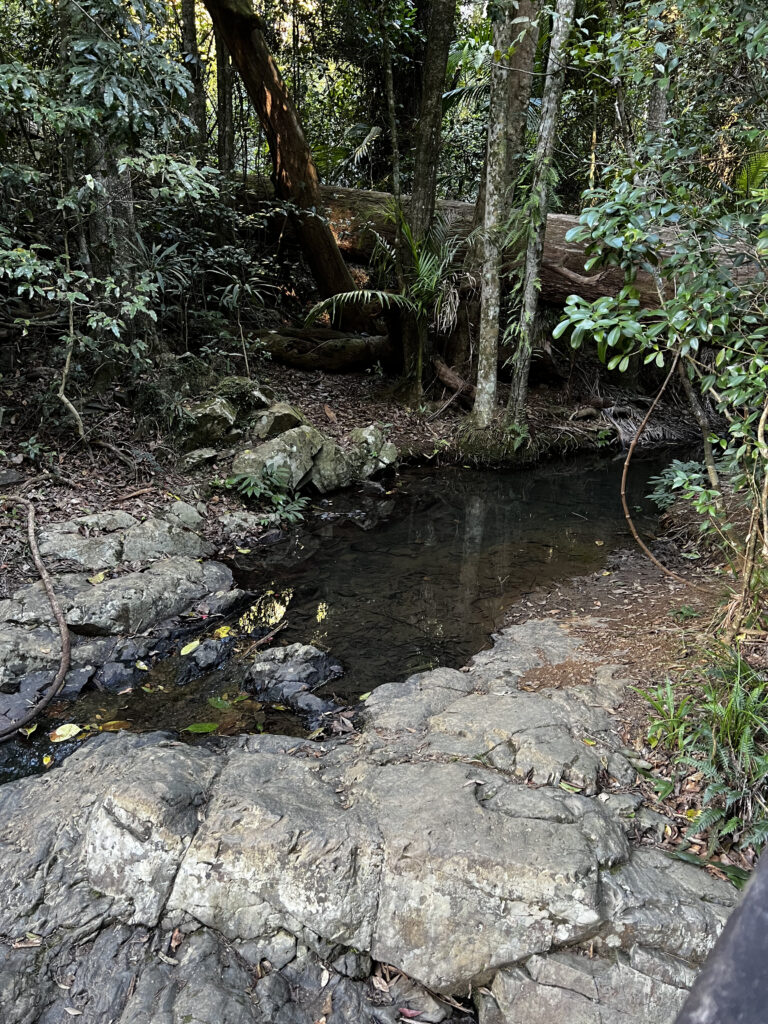 View from viewing platform