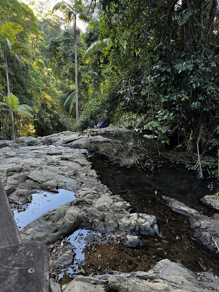 View from viewing platform